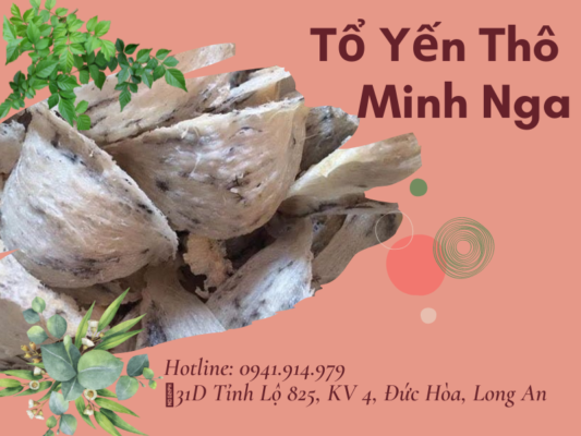 Yen-Sao-Minh-Nga-yentho