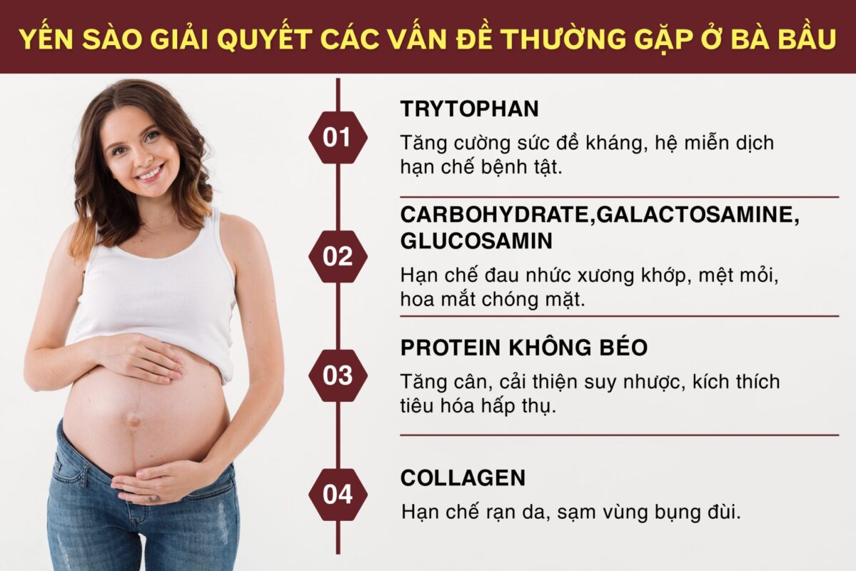 Bà bầu ăn yến sào có tốt không? | Có thai có nên ăn yến sào